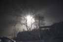Filename=IMG_4206.JPG
Filesize=238KiB
Dimensions=2048x1365
Date added=Feb 03, 2019 IMG_4206.JPG