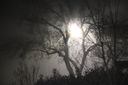 Filename=IMG_4207.JPG
Filesize=284KiB
Dimensions=2048x1365
Date added=Feb 03, 2019 IMG_4207.JPG